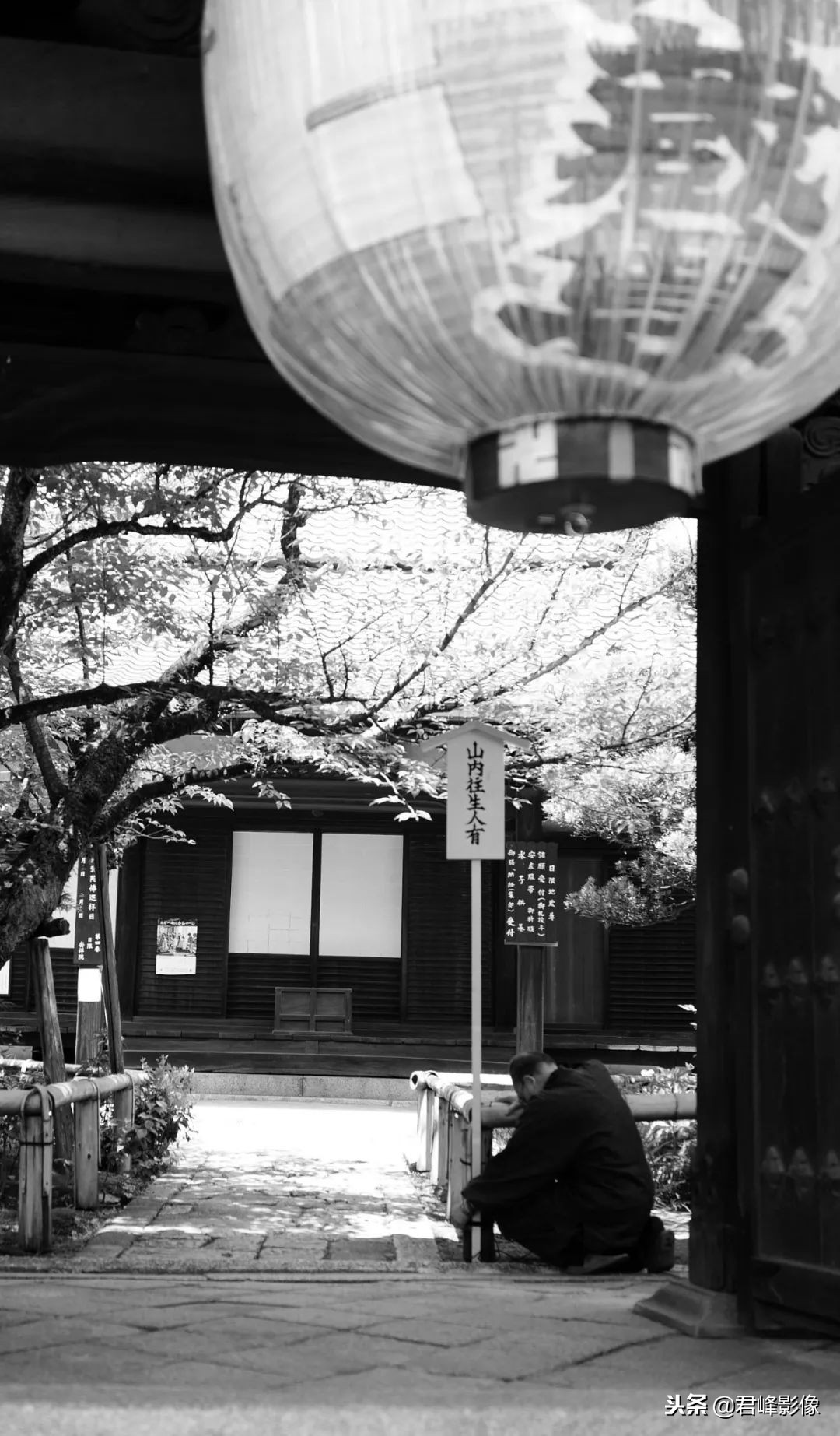 2018年最值得感动的时刻,对于2018你最大的收获是什么