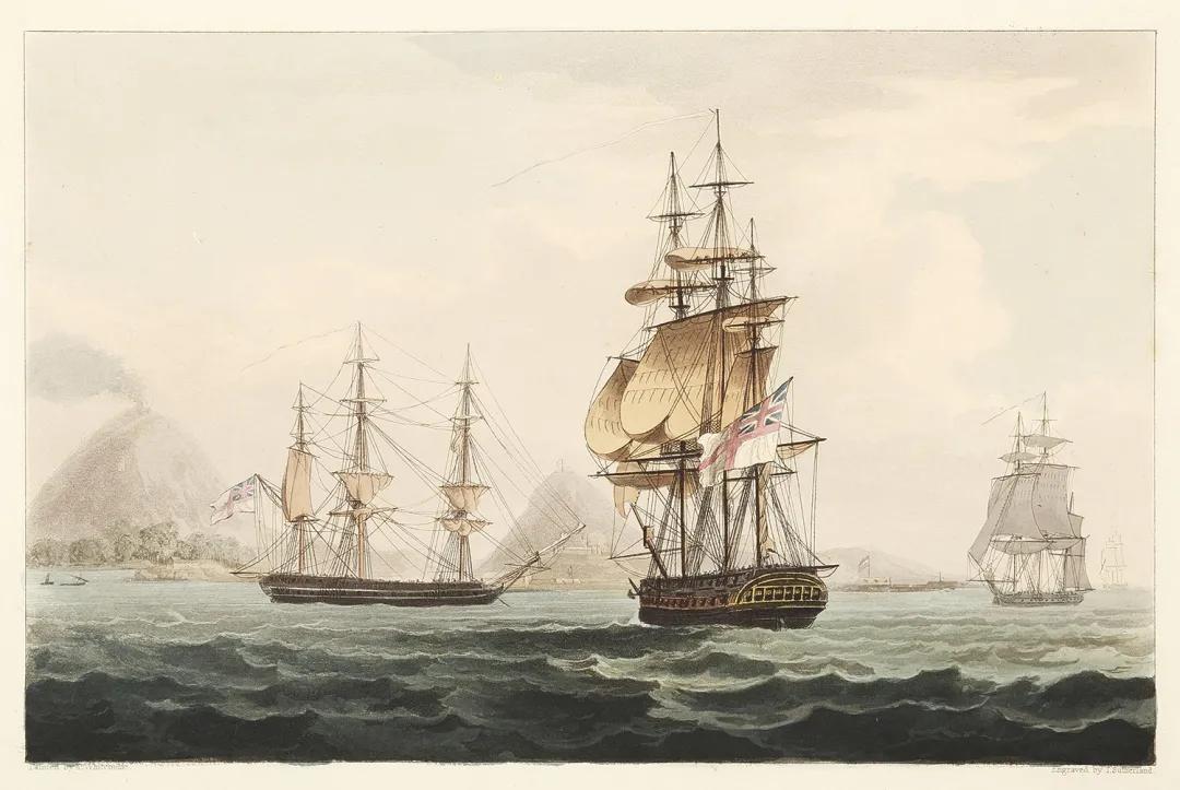 肉豆蔻荷兰西班牙,肉豆蔻历史