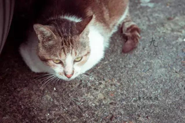 千寻拍摄场地,千寻航拍摄影