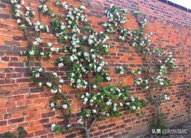 鍥壓鍒涙剰閫犲瀷鐩嗘櫙,鍥壓鐩嗘櫙鍒涙剰璁捐