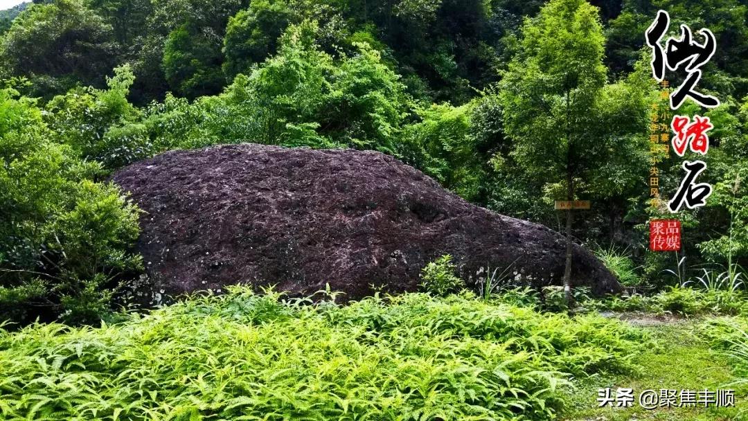 梅州九寨沟旅游攻略,畅游小九寨沟