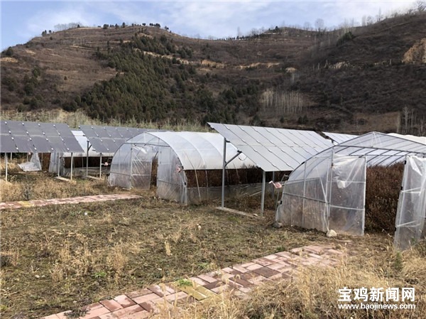 太白：农闲时节闲不住喜笑颜开致富忙