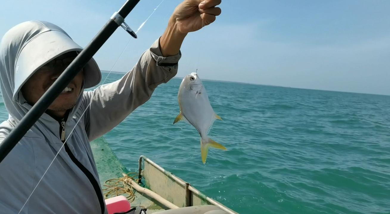 阿智为钓到爱吃的金鲳鱼，凌晨跑出外海，渔获晒满房前屋后