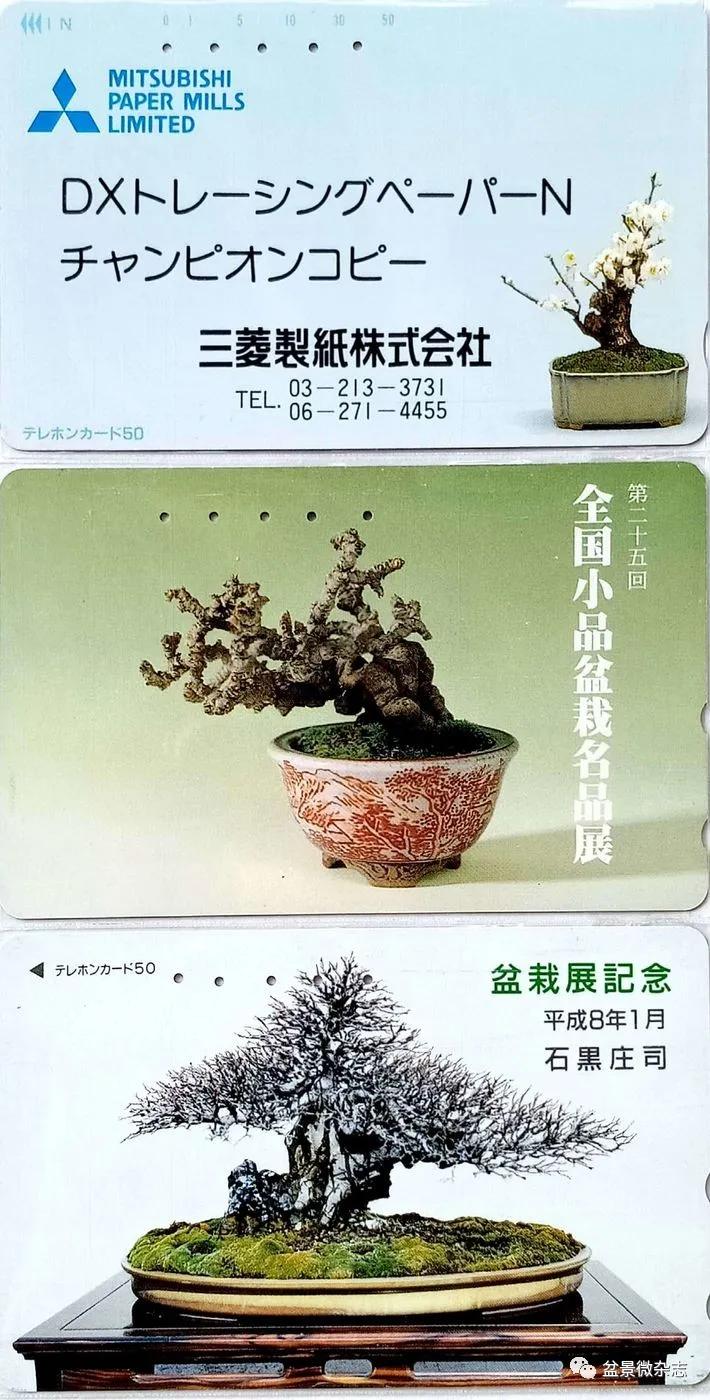 鐩嗘櫙鑱旂郴鐢佃瘽鍙风爜,涓鐩嗘櫙鑱旂郴鏂瑰紡