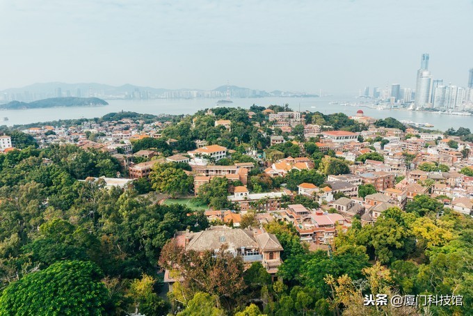 2018年厦门旅游购物陷阱,厦门旅游防被坑