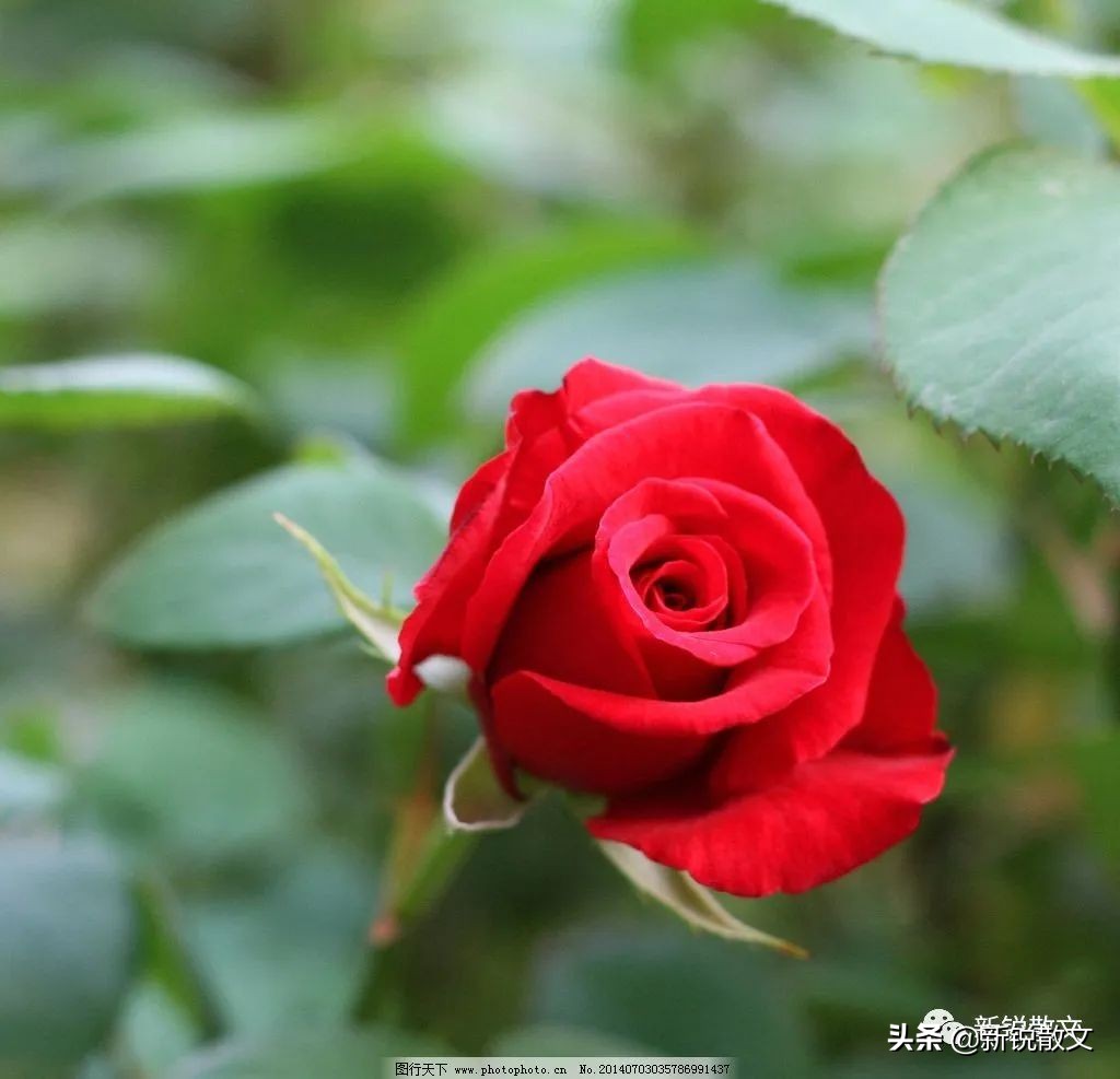 我的书屋的样子,我的书屋让生活更美好