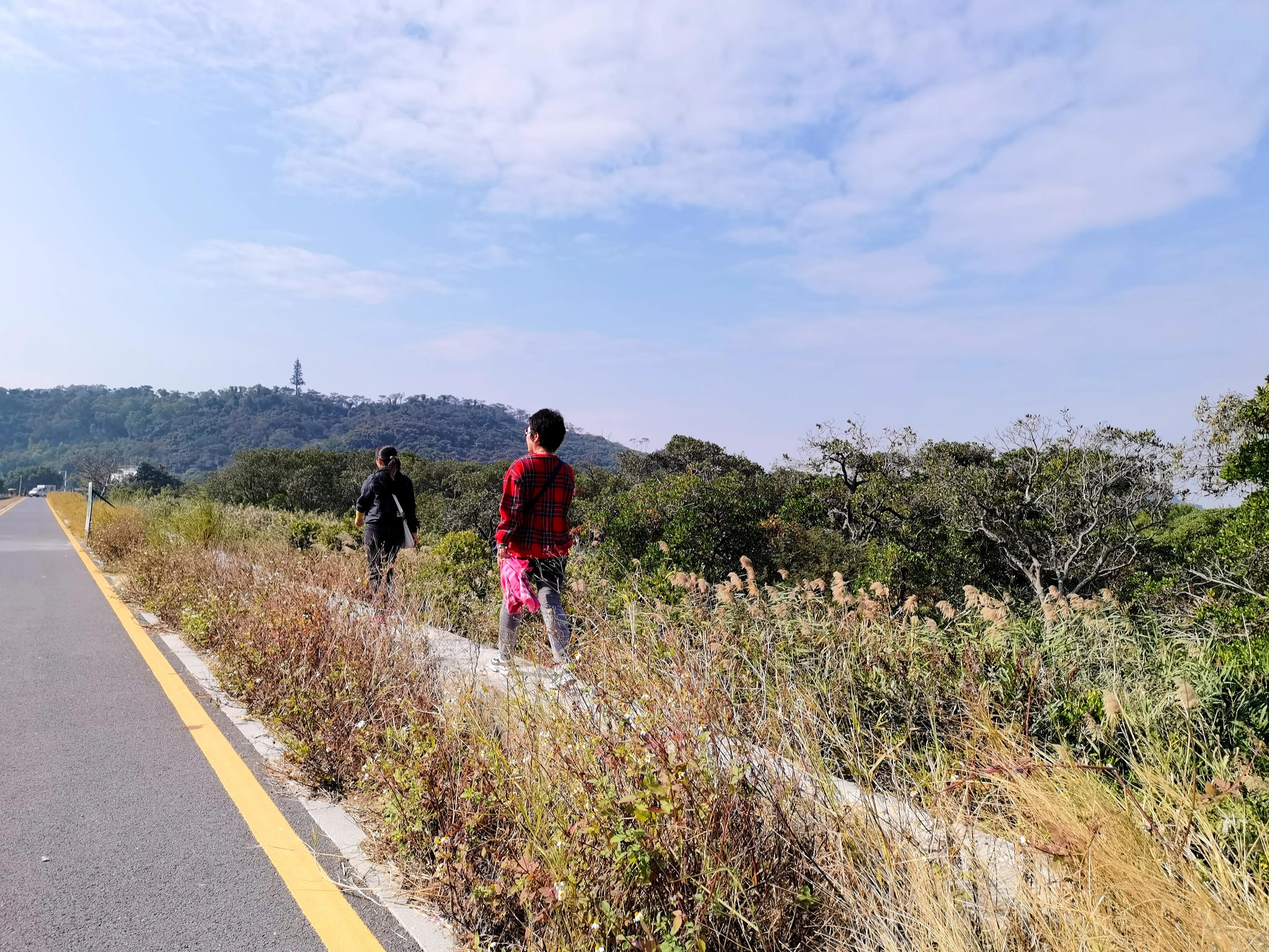 珠海淇澳岛红树林攻略,珠海桂山岛3天二夜的旅游攻略