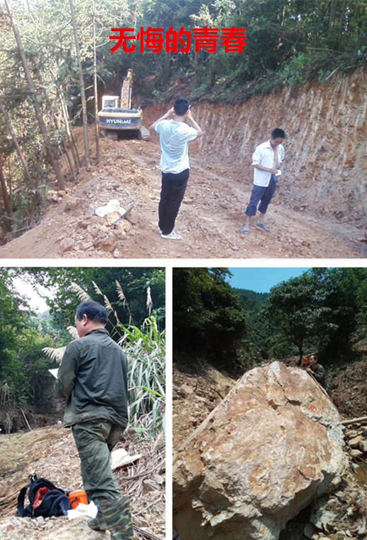 林业礼赞——世界最后一滴水将是人类的眼泪吗