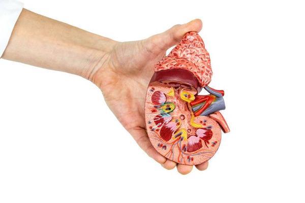 肾衰竭有这5个征兆头部有点疼,肾衰竭早期小便有什么症状