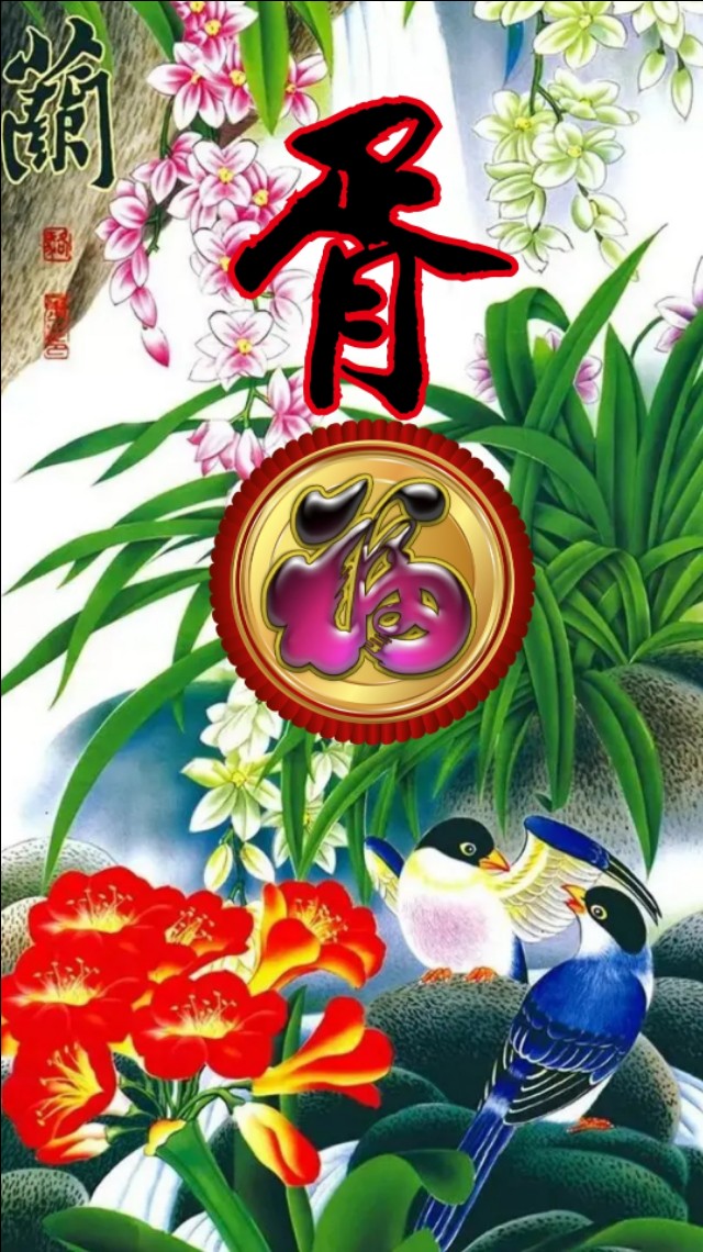 精美兰花壁纸图,兰花高贵壁纸