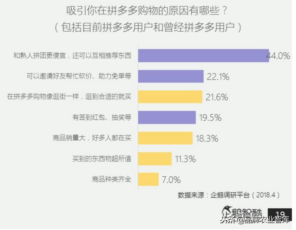 拼多多逻辑深度解析,拼多多深度剖析
