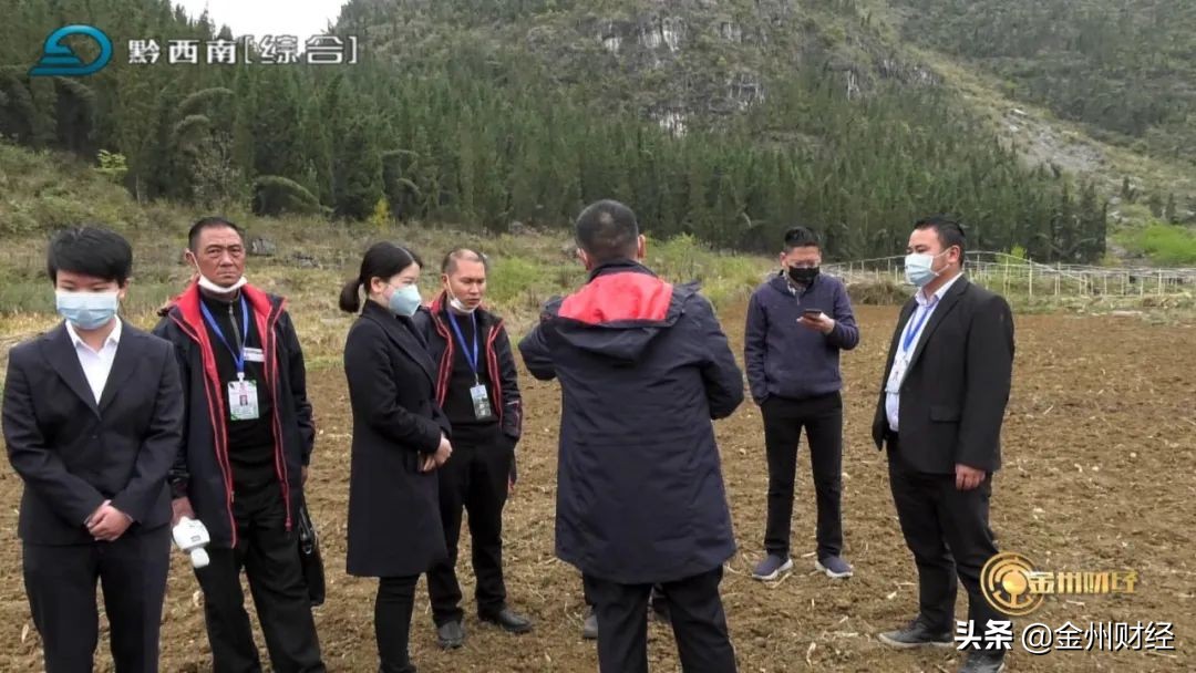 【电视版】兴仁农商银行:信贷支持高粱产业成就百姓致富梦