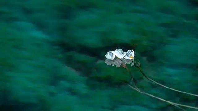 7月泸沽湖有哪些景点,泸沽湖有你要的诗和远方