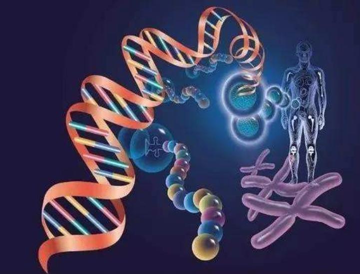 肺癌特效药哪里拿,肺癌特效药每个月都要吃吗