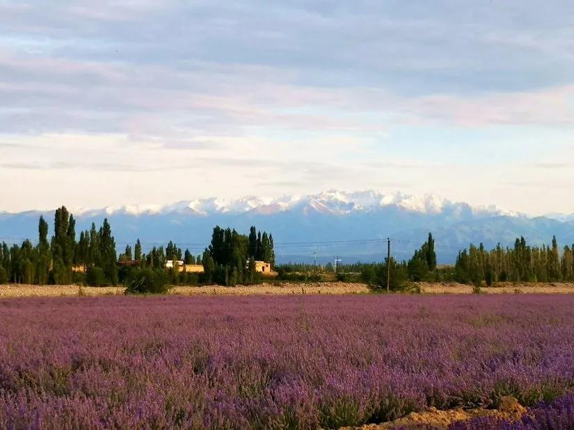 喀拉峻穿越琼库什台几天,喀拉峻穿越琼库什台