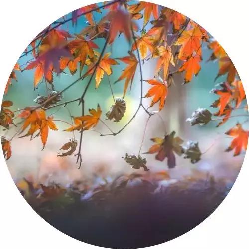 口吃绕口令100首,口吃绕口令大全