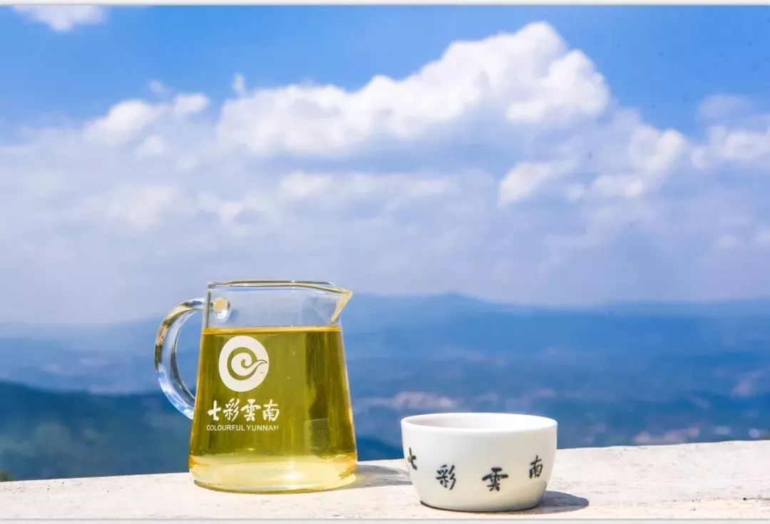 七彩云南茶博会茶叶直播,七彩云南庆沣祥普洱茶旗舰店直播