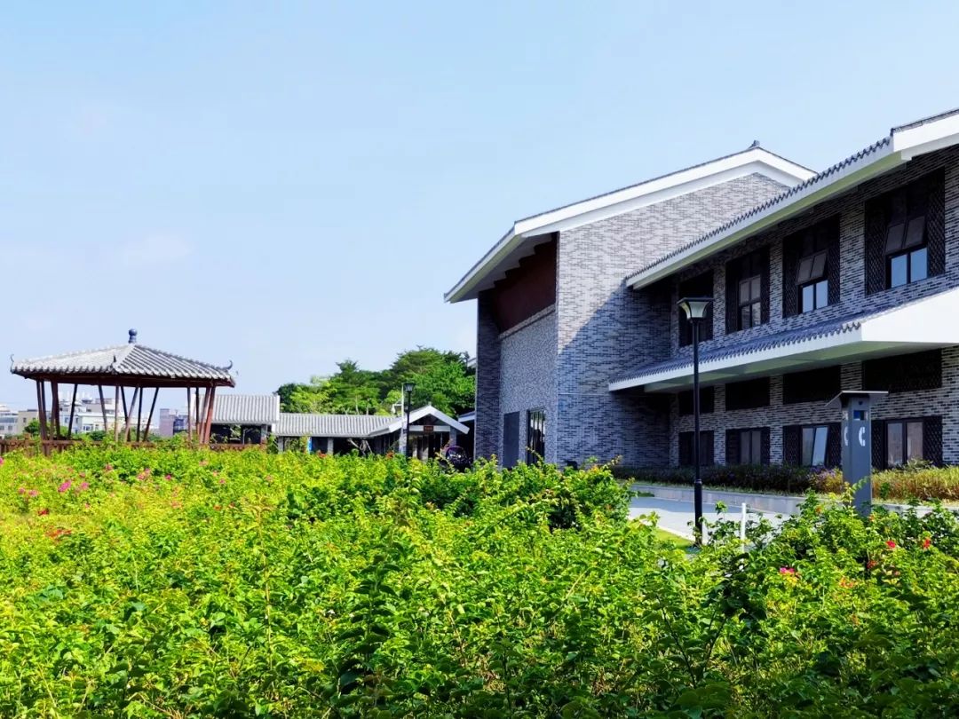 深圳最美簕杜鹃谷公园花海,宝安区花海赏花景点