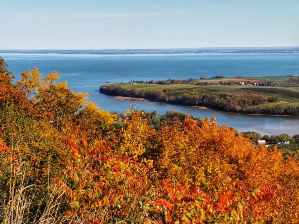 去加拿大旅行一定要买这个回国