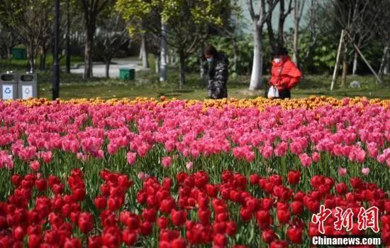 浙江人第一印象,浙江人的特色