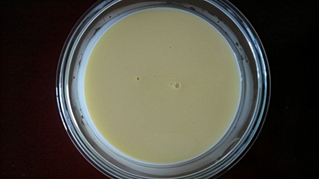 酸奶冰激凌的做法无淡奶油,酸奶冰激凌的做法商用