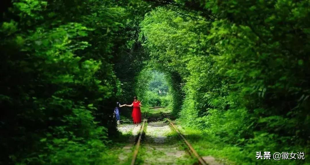 合肥：家住肥东，牛哄哄