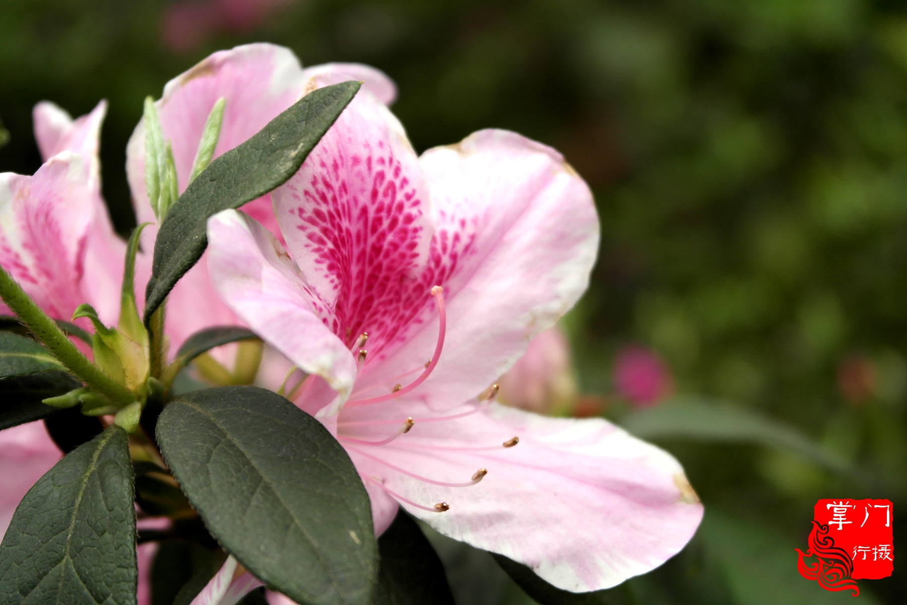 广州白云山游记一次身心愉悦之旅,广州白云山云台旅游