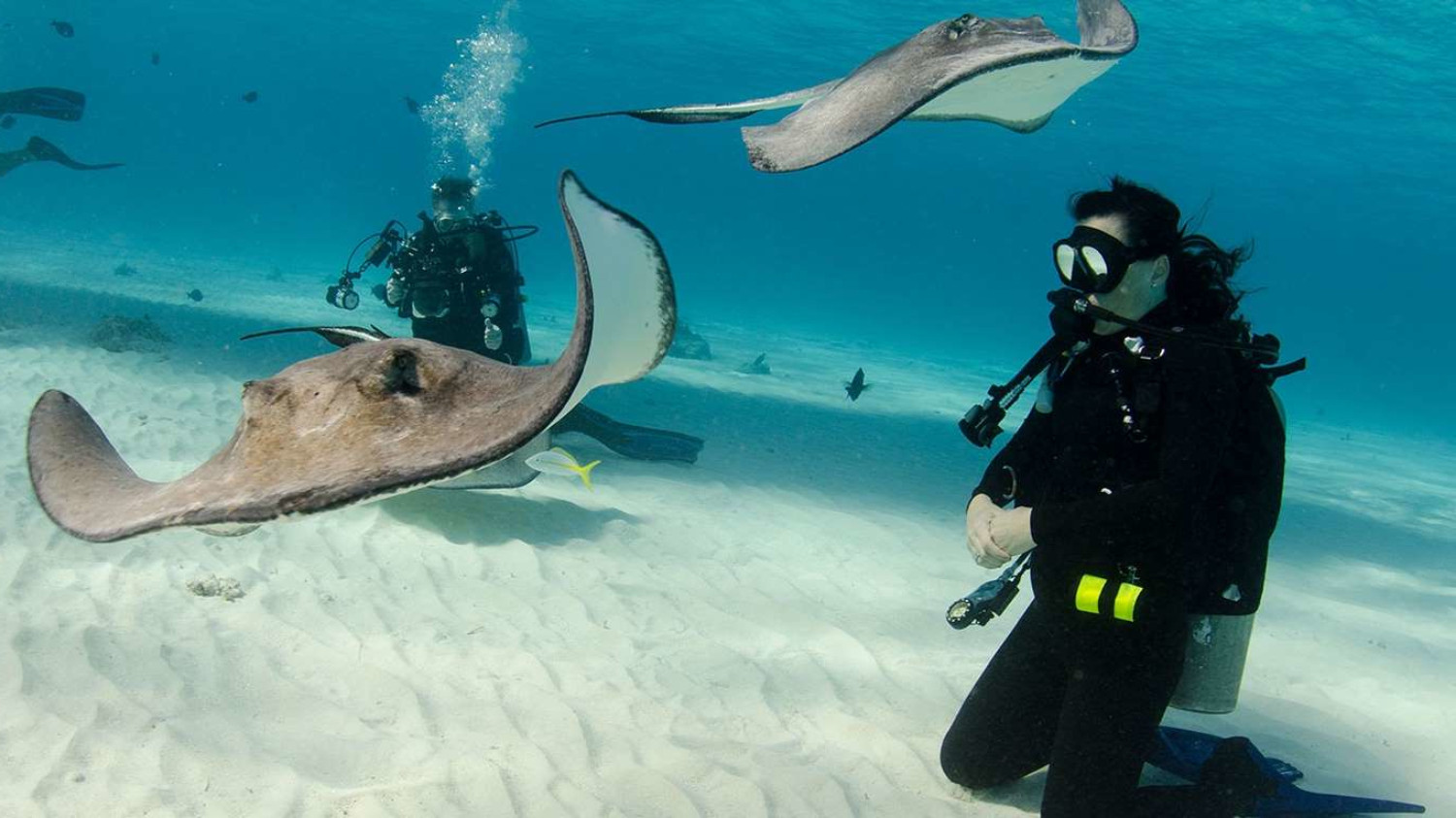 巴哈马群岛埃克苏马岛,巴哈马群岛海岛