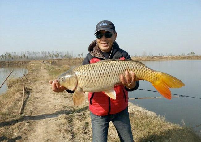 黄河泥沙那么大为什么会有鱼,为何黄河大鲤鱼多出名