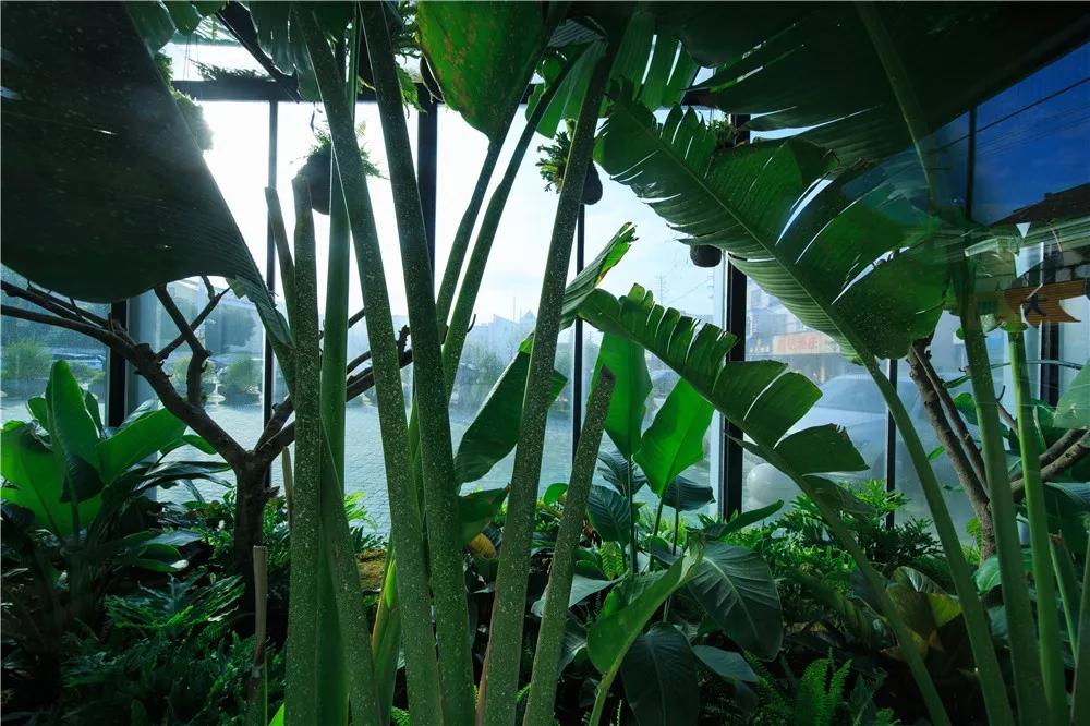 探秘!10000㎡打造世界烘焙商业新物种!!!(系列一)