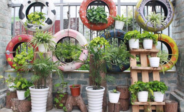 青羊区金沙幼儿园,青羊区金沙附近幼儿园