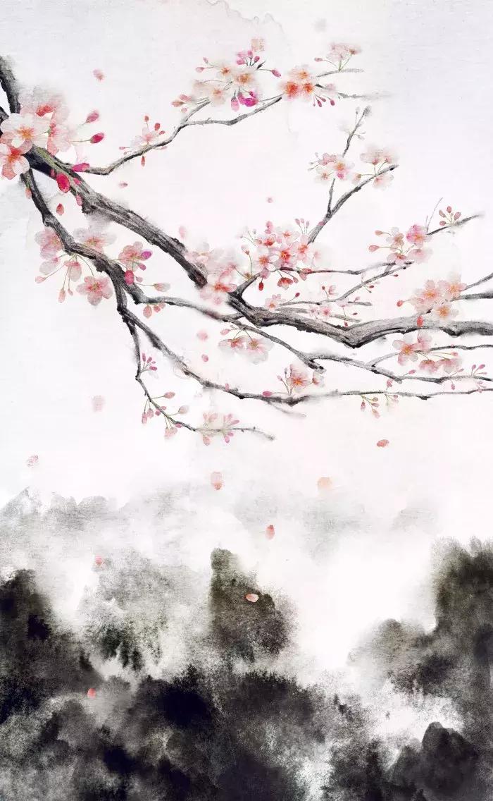 一年当中几月出生比较有水,2022年虎宝宝几月出生最好最准