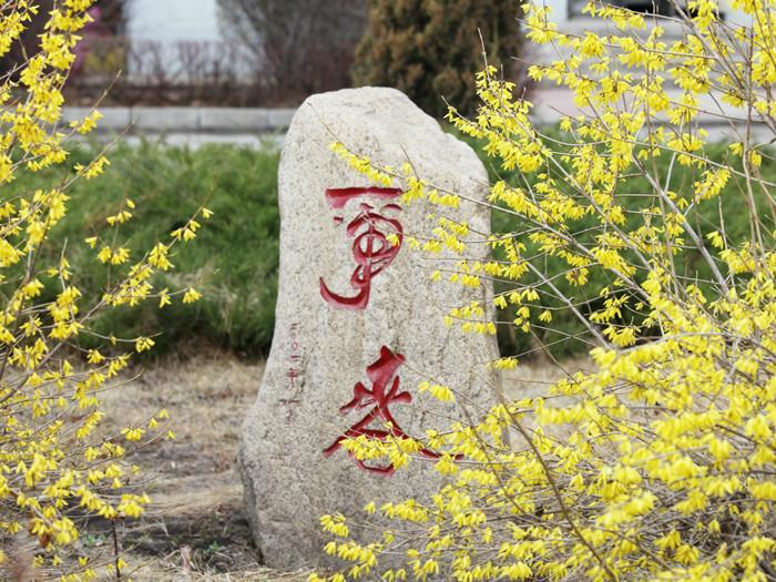 黑龙江省200-300分的公办专科学院,哈尔滨华德学院和东方学院哪个好