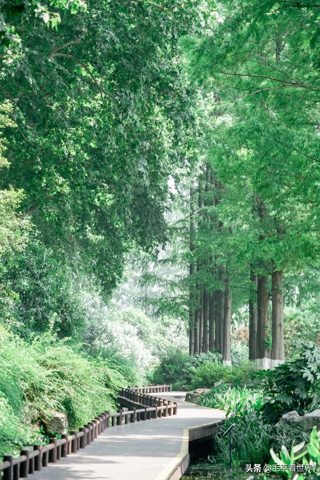 你眼中的南京是什么样子,你眼中的南京