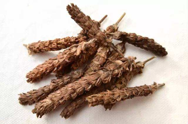 夏枯草口服液有护肝脏作用吗,夏枯草配什么药能保肝护肝