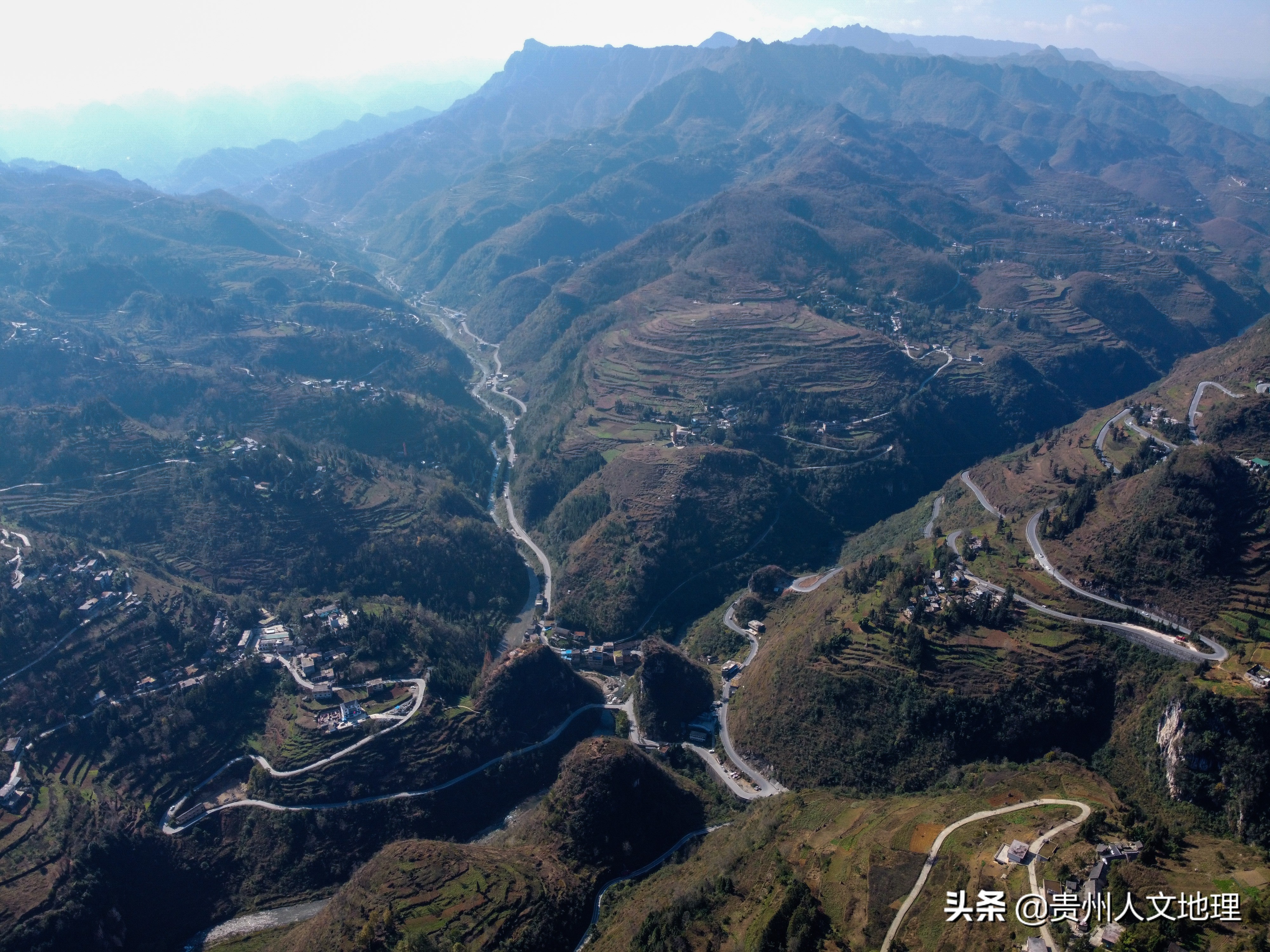 六旬老翁学养蜂网络直播卖蜂蜜年入近40万,取名小龙女