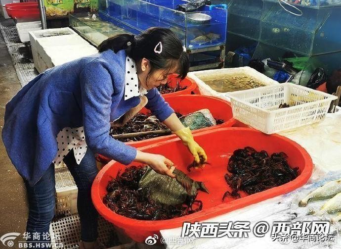 陕西高速绕城包年网上办理,西安绕城高速陕u车牌包年办理