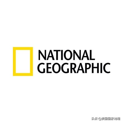 你见过的海豹都这么逗吗？！