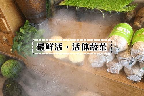 把菜园搬到餐厅,把菜园搬到家门口