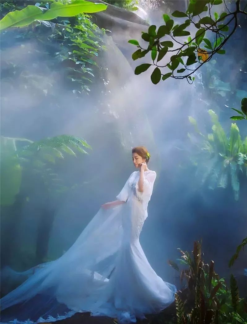 双语诵读:彼作我梦文‖安娜翻译‖田宇诵读‖森森不息百惠