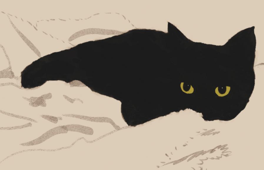 虽强但不具有深刻性,虚浮现实主义者,性格思维升华蜕变之狮子篇