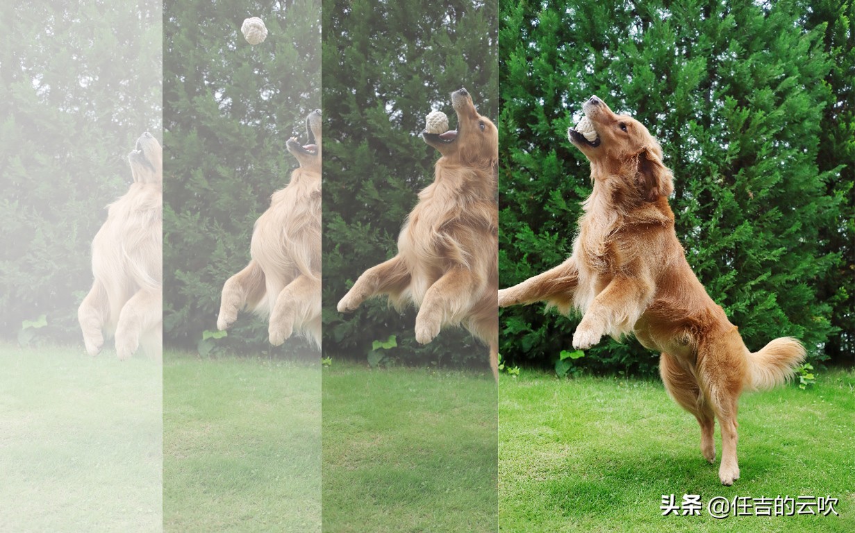 佳能m6mark2和尼康z50,z50和m6二代哪个好