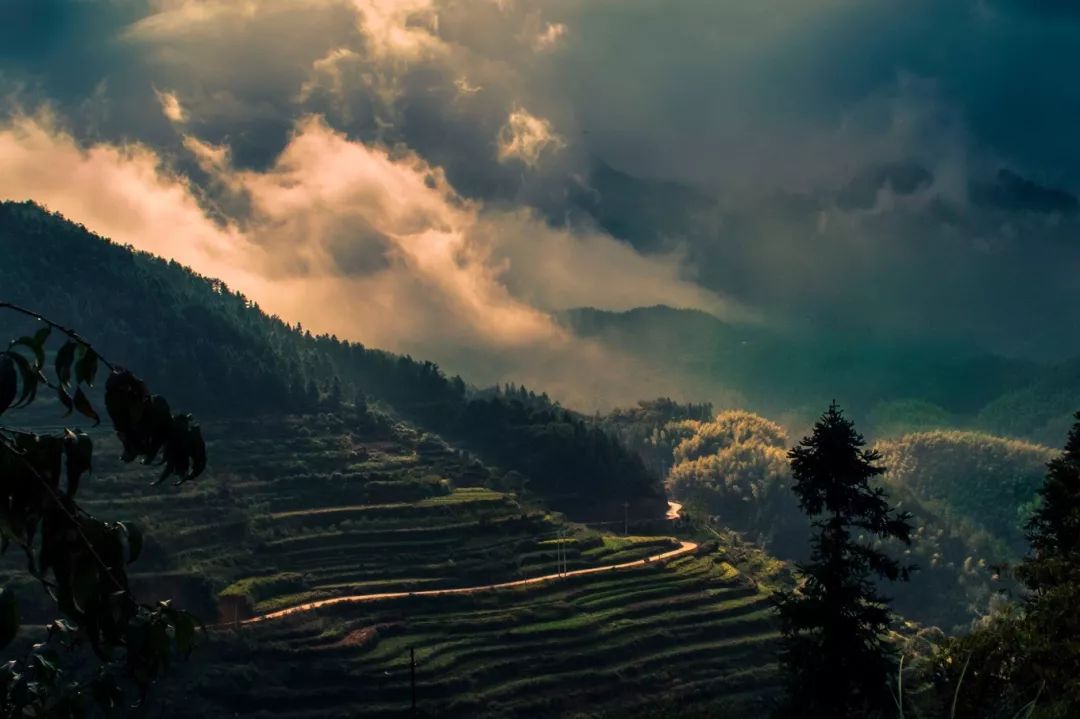 比乌镇安静比南浔古朴,藏不住了这里有最炫秋色