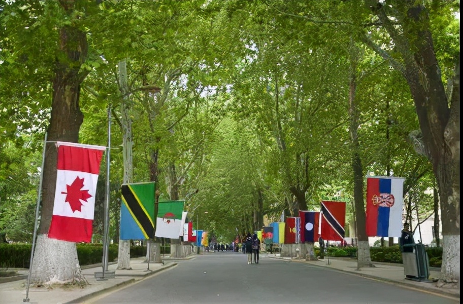 北京语言大学高中国际部好吗,北京语言大学怎样