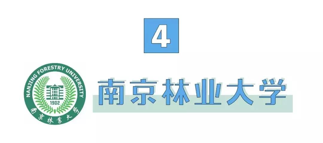 中国最好的大学食堂排名,南京高校餐厅哪家好