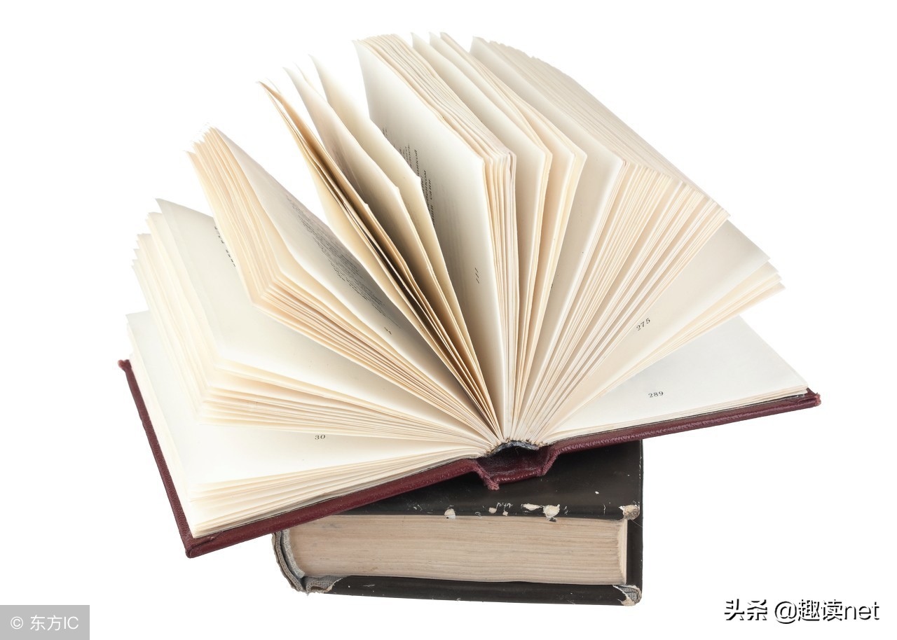 神道丹尊免费完整版小说书单推荐,神道丹尊书评