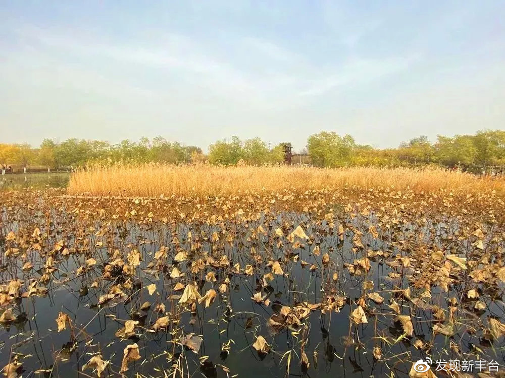 丰台赏秋景最好的地方,丰台赏秋好去处
