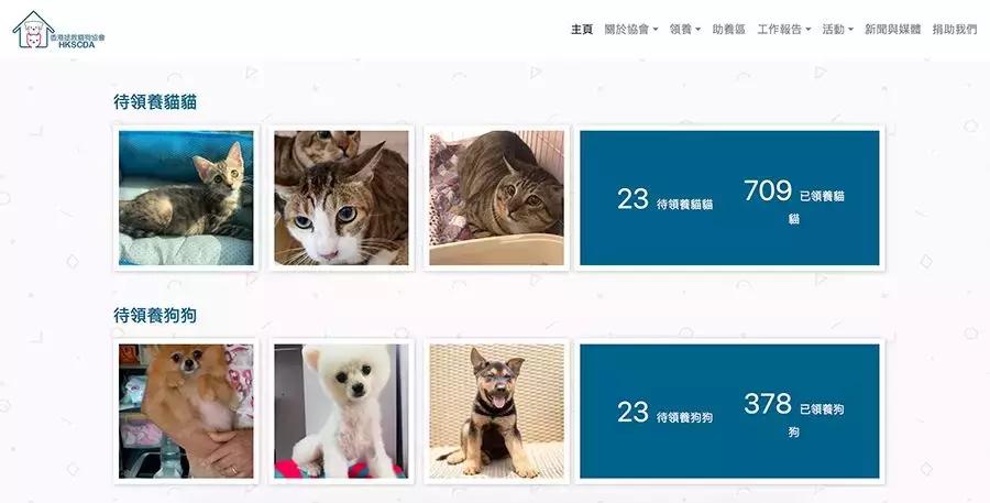 致每一位爱宠人，请了解下困难重重的TNR