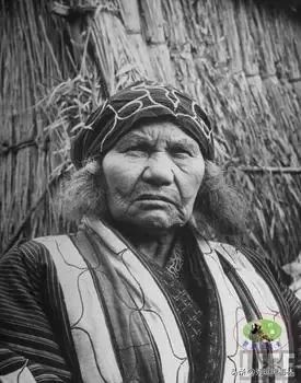 山海经中的扶桑与青铜神树,山海经扶桑树是史前文明