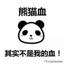 专家科普熊猫,熊猫家族科普